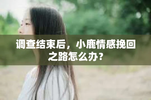调查结束后，小鹿情感挽回之路怎么办？