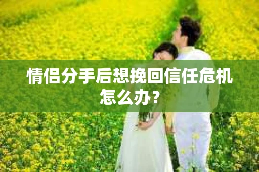 情侣分手后想挽回信任危机怎么办？