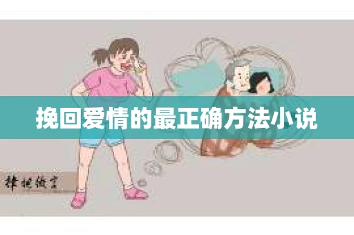 挽回爱情的最正确方法小说