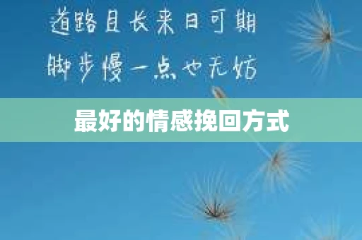 最好的情感挽回方式