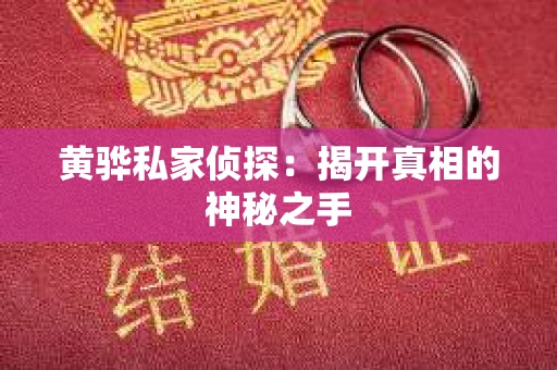 黄骅私家侦探：揭开真相的神秘之手