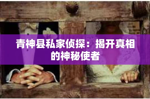 青神县私家侦探：揭开真相的神秘使者