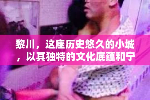 黎川，这座历史悠久的小城，以其独特的文化底蕴和宁静的生活节奏吸引着无数游客。然而，在这样一个看似平静的城市里，你是否会好奇，有没有私家侦探机构的存在呢？今天，就让我带你一探究竟。