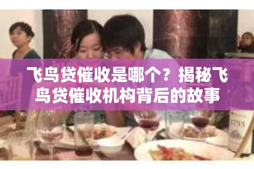 飞鸟贷催收是哪个？揭秘飞鸟贷催收机构背后的故事
