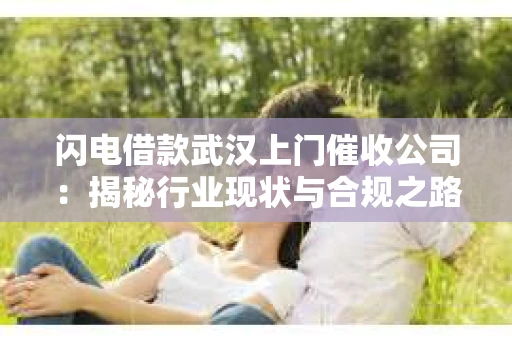 闪电借款武汉上门催收公司：揭秘行业现状与合规之路