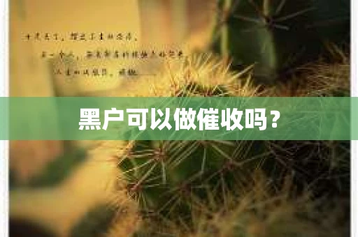 黑户可以做催收吗？