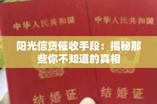 阳光信贷催收手段：揭秘那些你不知道的真相