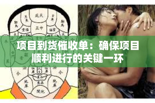 项目到货催收单：确保项目顺利进行的关键一环