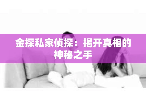 金探私家侦探：揭开真相的神秘之手