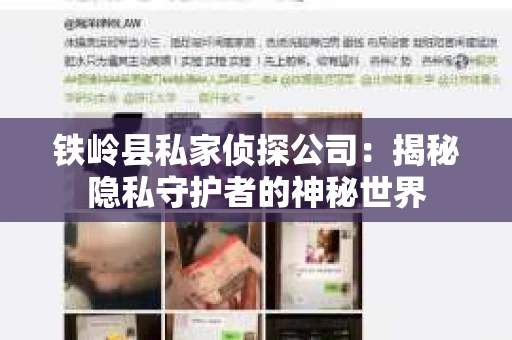 铁岭县私家侦探公司：揭秘隐私守护者的神秘世界