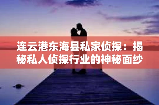 连云港东海县私家侦探：揭秘私人侦探行业的神秘面纱
