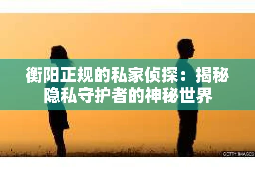 衡阳正规的私家侦探：揭秘隐私守护者的神秘世界
