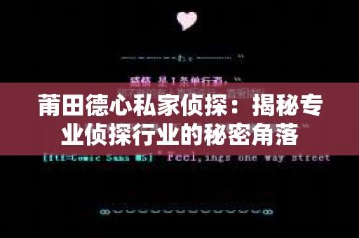莆田德心私家侦探：揭秘专业侦探行业的秘密角落