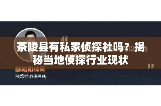 茶陵县有私家侦探社吗？揭秘当地侦探行业现状