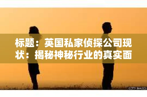 标题：英国私家侦探公司现状：揭秘神秘行业的真实面貌