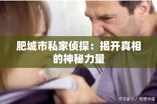 肥城市私家侦探：揭开真相的神秘力量