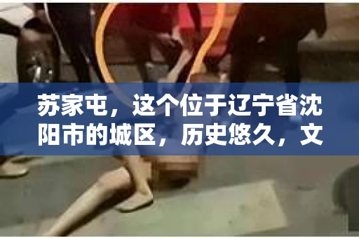 苏家屯，这个位于辽宁省沈阳市的城区，历史悠久，文化底蕴深厚。近年来，随着社会的发展，人们对于私家侦探的需求也逐渐增加。那么，苏家屯有私家侦探吗？今天，我们就来聊聊这个话题。