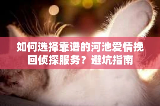 如何选择靠谱的河池爱情挽回侦探服务？避坑指南
