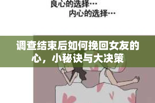 调查结束后如何挽回女友的心，小秘诀与大决策