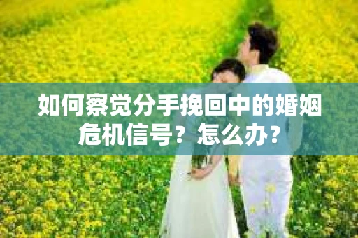 如何察觉分手挽回中的婚姻危机信号？怎么办？