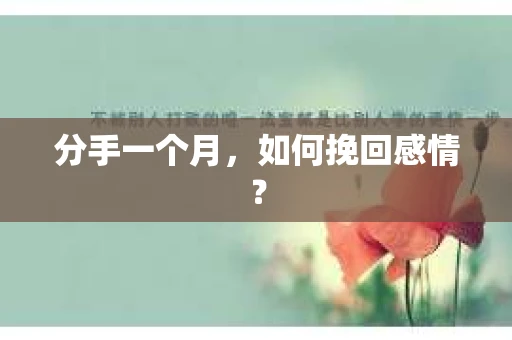 分手一个月，如何挽回感情？