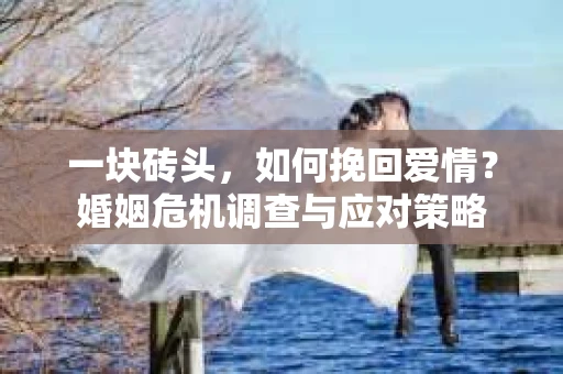 一块砖头,如何挽回爱情?婚姻危机调查与应对策略 一块砖头,如何挽回爱情?婚姻危机调查与应对策略