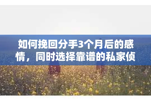 如何挽回分手3个月后的感情，同时选择靠谱的私家侦探社？