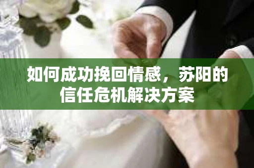 如何成功挽回情感，苏阳的信任危机解决方案