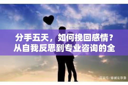 分手五天，如何挽回感情？从自我反思到专业咨询的全面解决方案