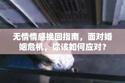 无情情感挽回指南，面对婚姻危机，你该如何应对？