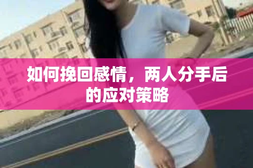 如何挽回感情,两人分手后的应对策略 如何挽回感情,两人分手后的应对策略