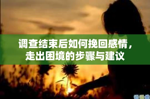 调查结束后如何挽回感情，走出困境的步骤与建议